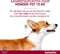 Advantix Spot On 40 Anti Vlooien en Teken Druppels Hond tot 4 kg 4 pipetten