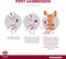 Advantix Spot On 40 Anti Vlooien en Teken Druppels Hond tot 4 kg 4 pipetten