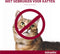 Advantix Spot On 40 Anti Vlooien en Teken Druppels Hond tot 4 kg 4 pipetten