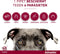Advantix Spot On 600 Anti Vlooien en Teken Druppels Hond 40 - 60 kg 4 pipetten