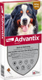 Advantix Spot On 600 Anti Vlooien en Teken Druppels Hond 40 - 60 kg 4 pipetten