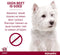 Advantix Spot On 600 Anti Vlooien en Teken Druppels Hond 40 - 60 kg 4 pipetten