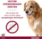 Advantix Spot On 600 Anti Vlooien en Teken Druppels Hond 40 - 60 kg 4 pipetten