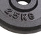 vidaXL - Halterschijven - 8 - st - 8x2,5 - kg - gietijzer