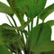 Ap-echinodorus ozelot groen 5 cm pot
