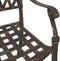 vidaXL - Tuinstoelen - 2 - stuks - in - bronzen - gietaluminium