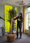 Goed & Groen - Dracaena Gold Coast - Drakenbloedboom - XL -↨ 140cm - Potmaat 27 - Exclusieve Kwaliteit Planten - Kamer Plant - Kamerplanten - Sfeer - Interieur
