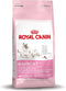 Royal Canin Mother & Babycat - Kitten-Kattenvoer - 4 kg