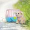 BABY born Puppy Lucky - Hondje met bench - Interactief - Multikleur
