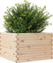 vidaXL - Plantenbak - 70x70x46 - cm - massief - grenenhout