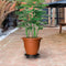 vidaXL - Plantentrolley - met - wielen - 170 - kg - diameter - 30 - cm - zwart