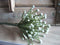African flower green kunst