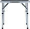 vidaXL - Campingtafel - inklapbaar - 60x45 - cm - aluminium - grijs