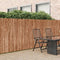 vidaXL - Schutting - van - Schors - 600x150 - cm