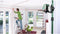 Bosch TP 320 - Meetgereedschap statief - 10 tot 320 cm - Hoogwaardig aluminium - Inclusief opbergtas