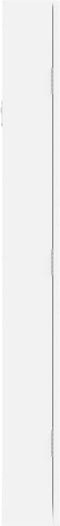 vidaXL - Sieradenkast - met - spiegel - wandgemonteerd - 37,5x10x90 - cm - wit
