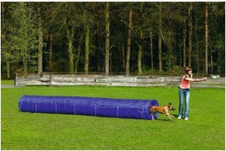 Agility Tunnel Large 525x60x60 cm
