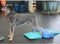 FitPAWS Huisdieren balanshelling 35x35x7 cm blauw