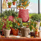 Mica Decorations Bloempot Souk - 37x37x6 cm - Terracotta - Terra- Set van 4