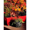 RIVIERA EVA bloembak - Set van 2 plantenbakken - Kunststof - 57 cm - Rood