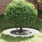 vidaXL - Plantenring - 5 - stuks - Wit - Ø40/70 - cm - Staal