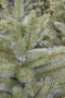 Triumph Tree Forest Frosted Kunstkerstboom - H260 cm - groen