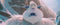 Smallfoot - Blu-ray - Avontuur over vriendschap en moed (2023)