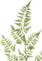 PTMD Fern Plant Varen Kunsttak - 81 x 30 x 165 cm - Groen