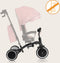 Lionelo Tris Plus - Driewieler 2-in-1 - Geschikt van 9 maanden tot 5 jaar - Pink Rose