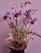 Silk-ka Kunstbloem-Zijden Bloem-Allium Steel Zijde Lavendel 95 cm