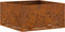 vidaXL - Vierkante - Vuurplaats - 60x60x30 - cm - Weervast - Staal