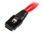 Startech.com SAS808782P50 - Mini SAS Kabel - 50cm - Rood Zwart