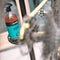Airolube Heavy Duty Degreaser 1000 ml | Industriële ontvetter - Kettingreiniger fiets - kettingreiniger motor - Krachtige plantaardige formule - ketting reiniger