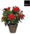 Mica Decorations Azalea - Kunstplant in bloempot - Onderhoudsvrij - Rood