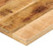 vidaXL - Tafelblad - rechthoekig - 60x50x2,5 - cm - massief - ruw - mangohout