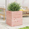 vidaXL - Plantenbak - 40x40x46 - cm - massief - douglashout