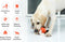 Hondenknuffel - Interactief piepspeelgoed voor honden - Teddy - Stoer hondenkauwspeelgoed - Met katoenen materiaal en gekreukt papier - Hondenspeelgoed voor grote en kleine honden