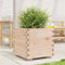 vidaXL - Plantenbak - 50x50x49,5 - cm - massief - grenenhout