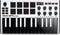 AKAI MPK Mini MK3 MIDI keyboard controller USB- Zwart/Wit