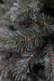 Kunstkerstboom Forest Frosted | H260cm Blauw D137cm