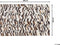 AKYELE - Patchwork vloerkleed - Bruin - 140 x 200 cm - Koeienhuid