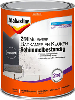 Alabastine muurverf 2in1 badkamer en keuken schimmelbestendig antraciet - 1 liter