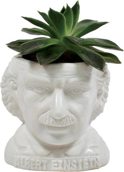 Albert Einstein bloempotje - Sass & Belle