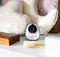 Alecto DVM-150 - Babyfoon met camera - Groot 5