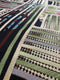 Aledin Carpets Bama - Tuintapijt - Laagpolig - Vloerkleed 160x230 cm - Meerkleurig - Buitenkleed - Buitentapijt