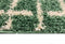 Aledin Carpets Kalemie - Laagpolig - Vloerkleed 160x230 cm - Rood - Tapijten woonkamer
