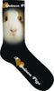 Plenty Gifts Sokken Cavia
