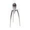 Alessi - Juicy Salif - Citruspers - Aluminium