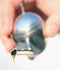 Alessi Taste-Huile Olijfolieproever 5 cl - rvs