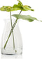 Vaas 'romeo' h30 d18 cm